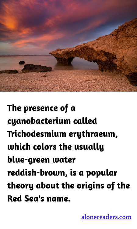 General Knowledge Learning Cards