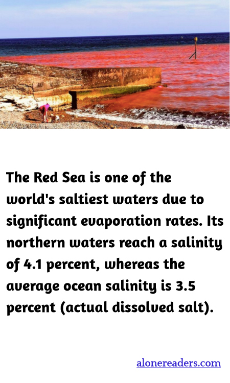The Red Sea is one of the world's saltiest waters due to significant evaporation rates. Its northern waters reach a salinity of 4.1 percent, whereas the average ocean salinity is 3.5 percent (actual dissolved salt).