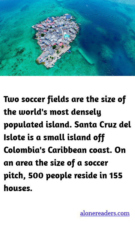 General Knowledge Learning Cards