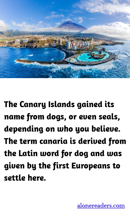 General Knowledge Learning Cards