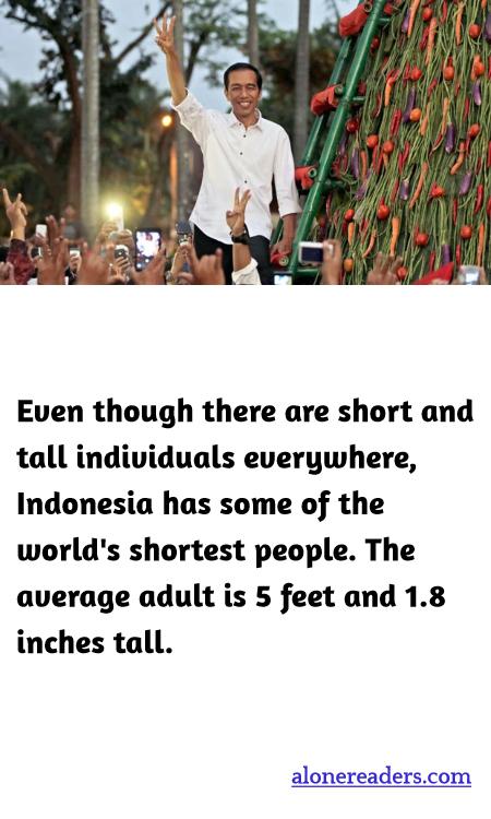 General Knowledge Learning Cards