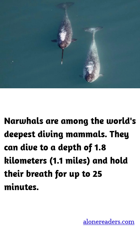 General Knowledge Learning Cards