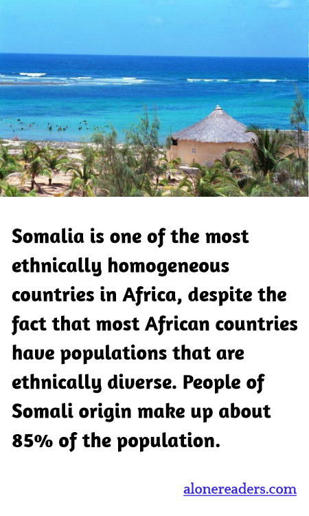 General Knowledge Learning Cards