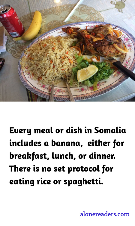 General Knowledge Learning Cards