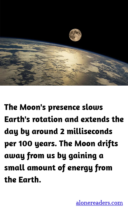 General Knowledge Learning Cards