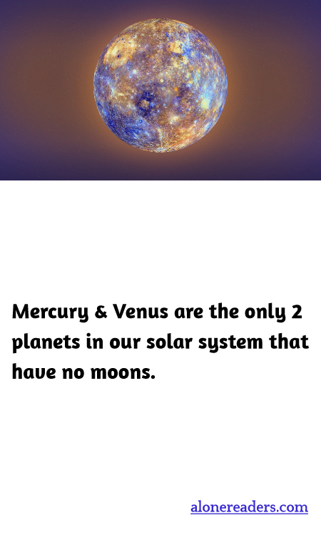 General Knowledge Learning Cards