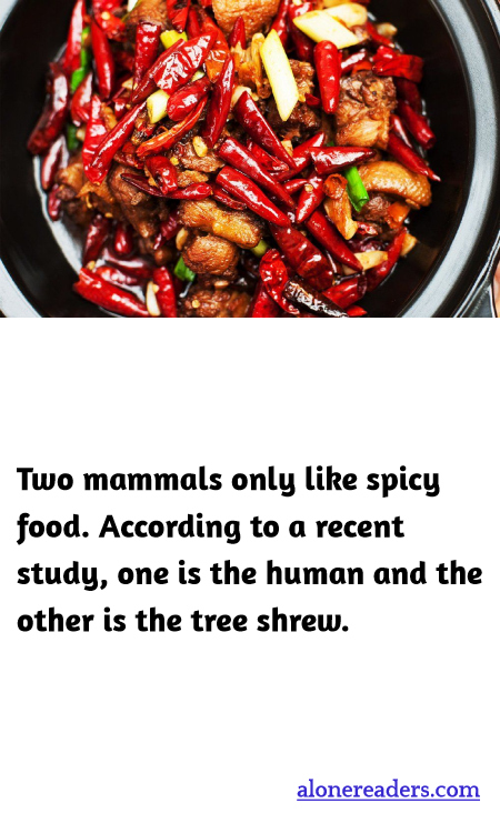 General Knowledge Learning Cards