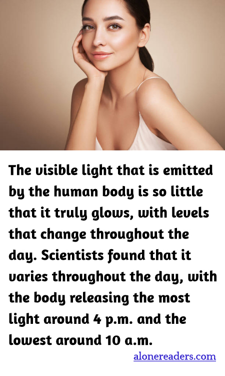 General Knowledge Learning Cards