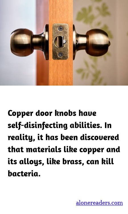 General Knowledge Learning Cards