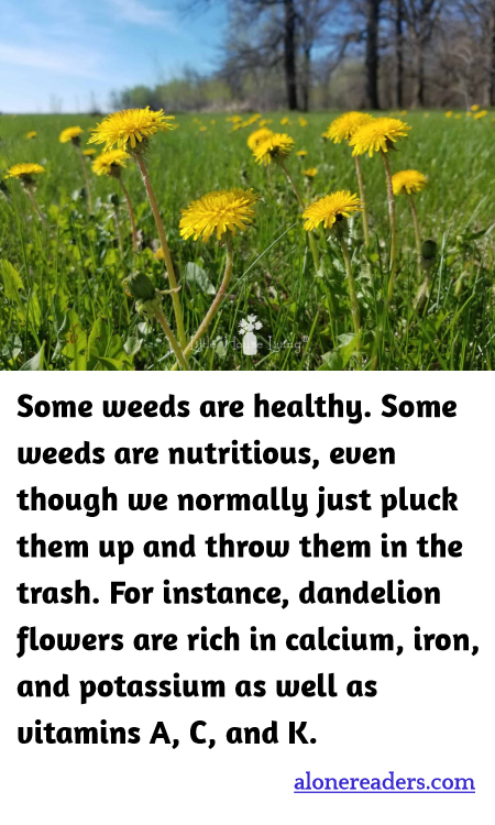 Some weeds are healthy. Some weeds are nutritious, even though we normally just pluck them up and throw them in the trash. For instance, dandelion flowers are rich in calcium, iron, and potassium as well as vitamins A, C, and K.