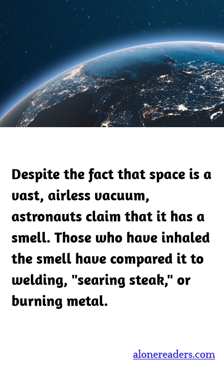 General Knowledge Learning Cards