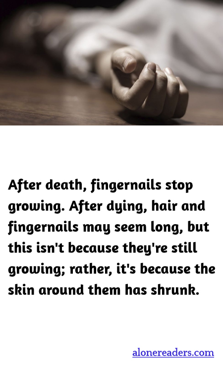 General Knowledge Learning Cards