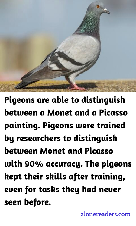 General Knowledge Learning Cards