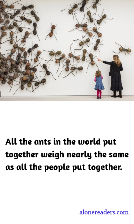 General Knowledge Learning Cards