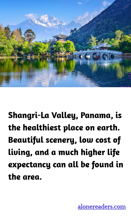 General Knowledge Learning Cards