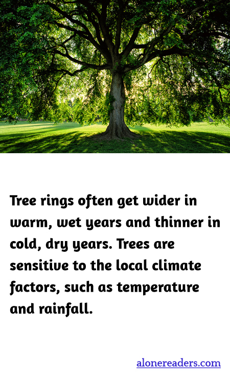Tree rings often get wider in warm, wet years and thinner in cold, dry years. Trees are sensitive to the local climate factors, such as temperature and rainfall.