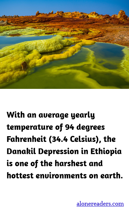 General Knowledge Learning Cards