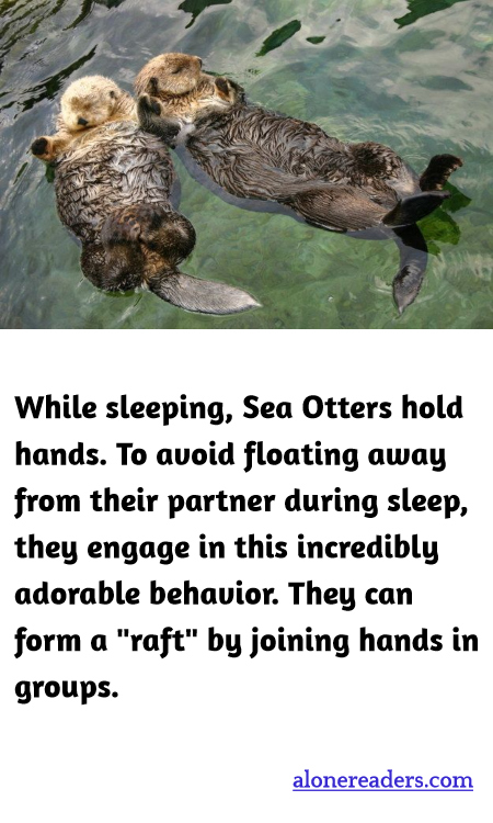 General Knowledge Learning Cards