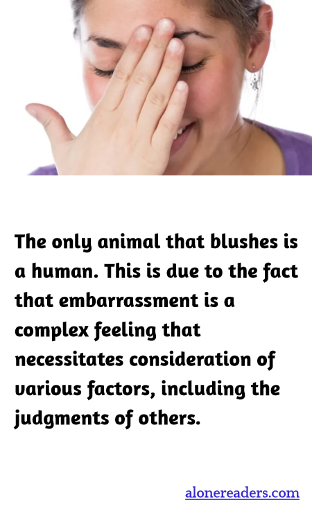 The only animal that blushes is a human. This is due to the fact that embarrassment is a complex feeling that necessitates consideration of various factors, including the judgments of others.