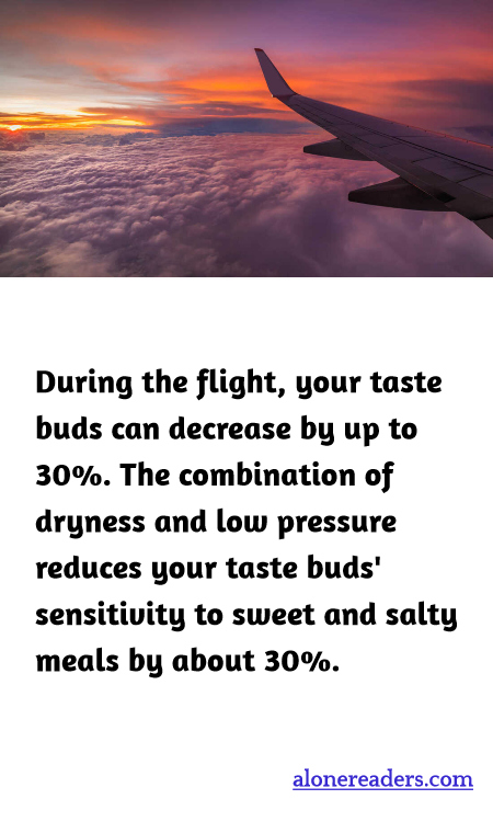 General Knowledge Learning Cards