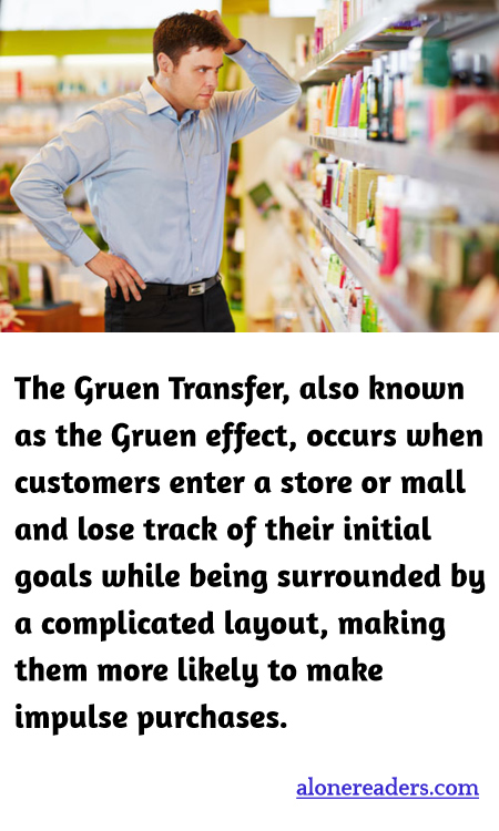 General Knowledge Learning Cards