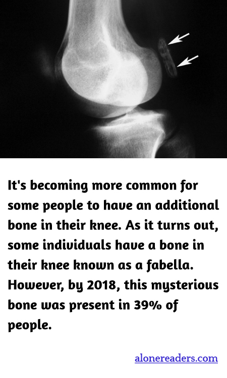 General Knowledge Learning Cards