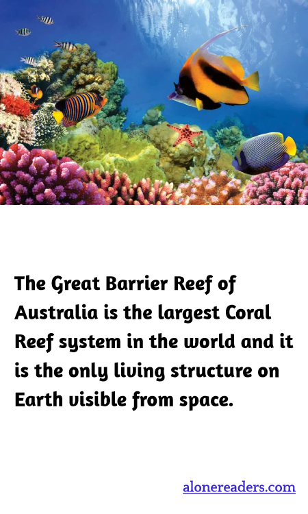 General Knowledge Learning Cards