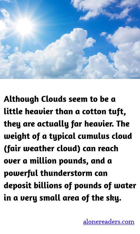 General Knowledge Learning Cards