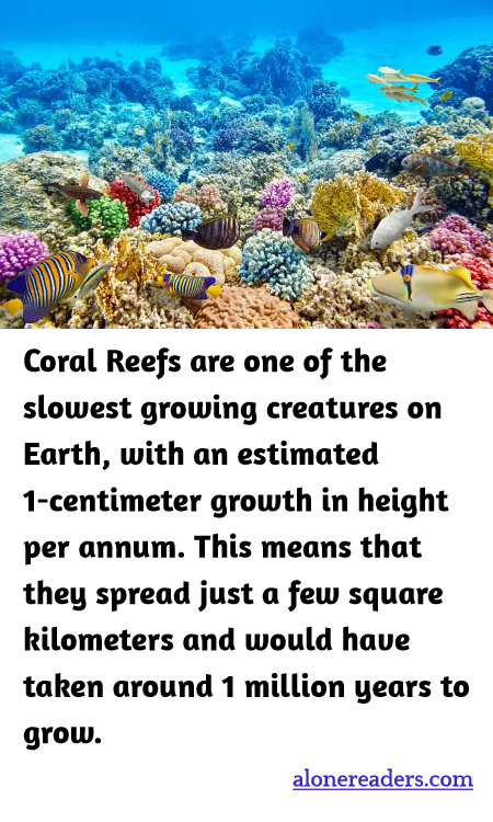 Coral Reefs are one of the slowest growing creatures on Earth, with an estimated 1-centimeter growth in height per annum. This means that they spread just a few square kilometers and would have taken around 1 million years to grow.