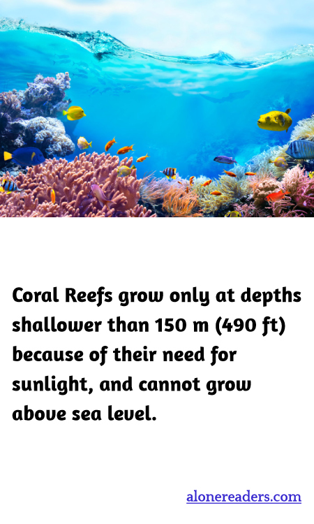 Coral Reefs grow only at depths shallower than 150 m (490 ft) because of their need for sunlight, and cannot grow above sea level.