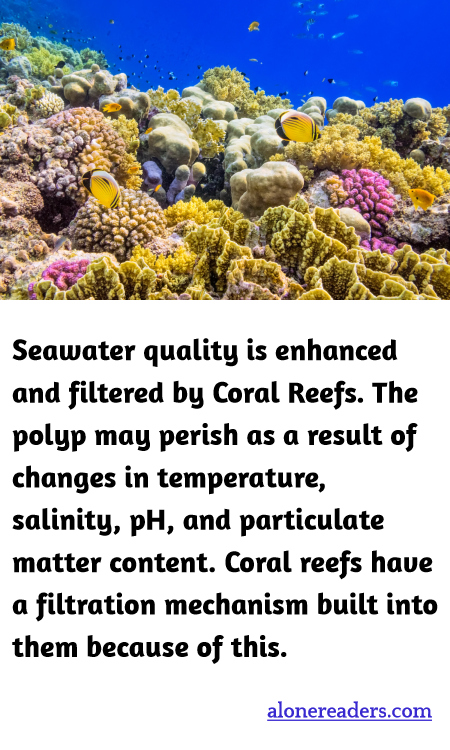 Seawater quality is enhanced and filtered by Coral Reefs. The polyp may perish as a result of changes in temperature, salinity, pH, and particulate matter content. Coral reefs have a filtration mechanism built into them because of this.