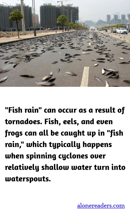 General Knowledge Learning Cards