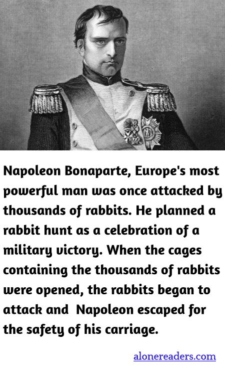 General Knowledge Learning Cards