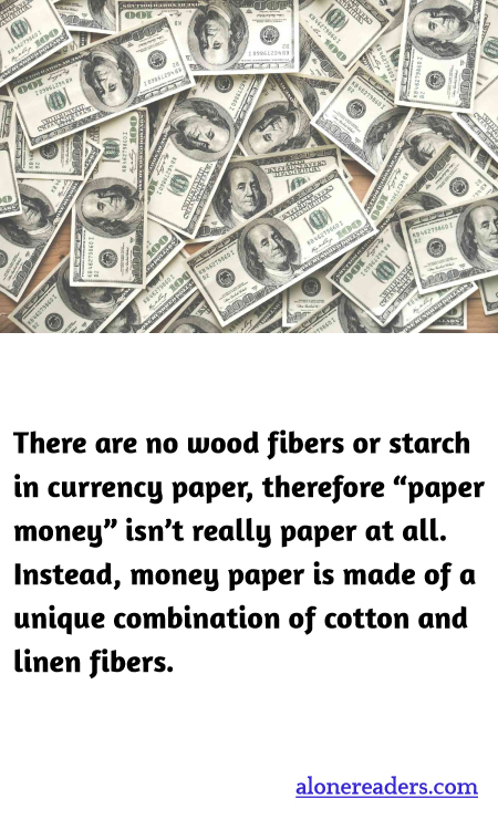 General Knowledge Learning Cards