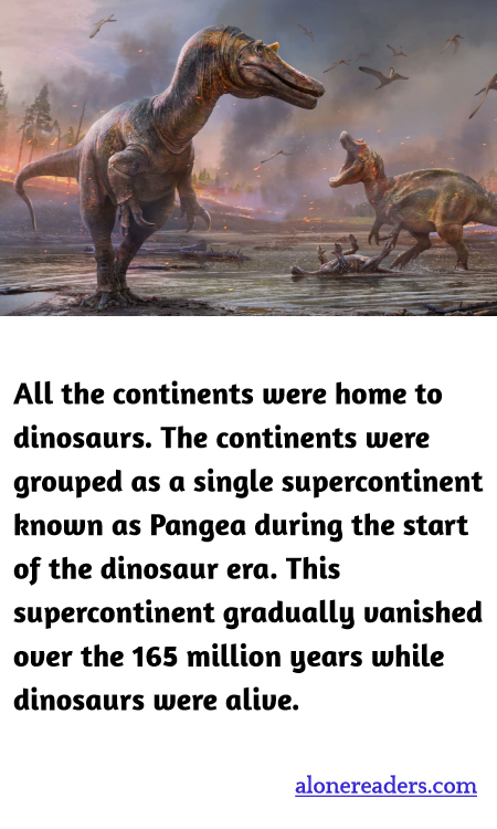 General Knowledge Learning Cards