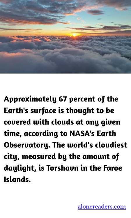 General Knowledge Learning Cards