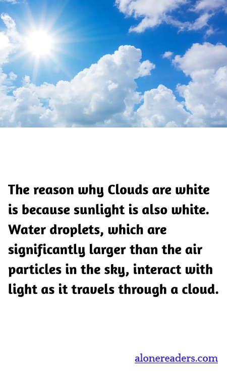 The reason why Clouds are white is because sunlight is also white. Water droplets, which are significantly larger than the air particles in the sky, interact with light as it travels through a cloud.