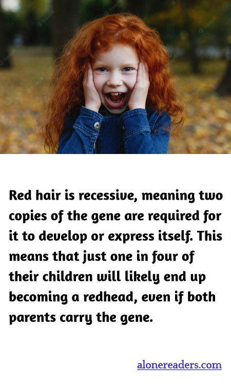 General Knowledge Learning Cards