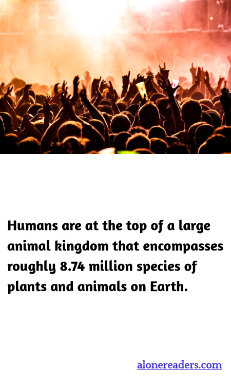 General Knowledge Learning Cards