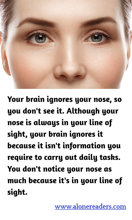 General Knowledge Learning Cards