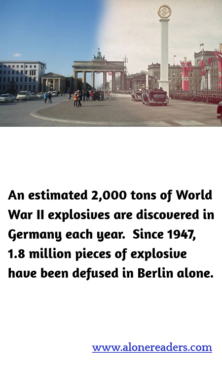 General Knowledge Learning Cards