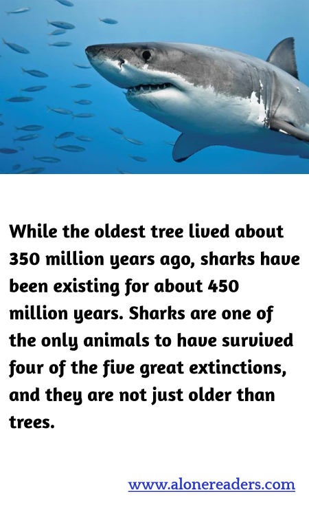 General Knowledge Learning Cards