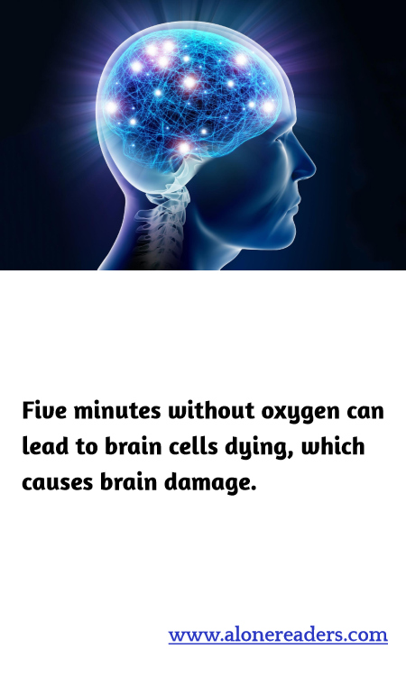 General Knowledge Learning Cards