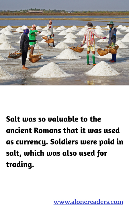 General Knowledge Learning Cards