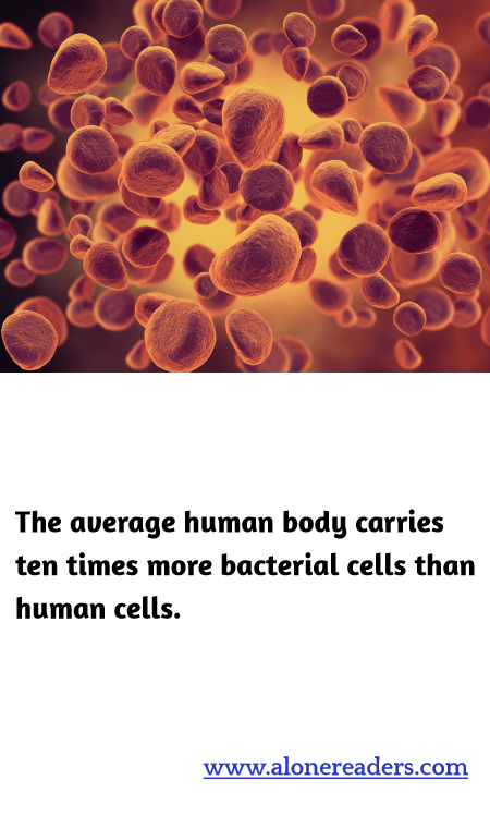 General Knowledge Learning Cards