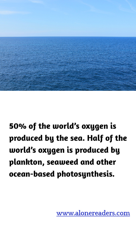 50% of the world’s oxygen is produced by the sea. Half of the world’s oxygen is produced by plankton, seaweed and other ocean-based photosynthesis.
