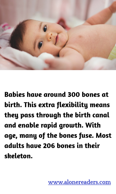 Babies have around 300 bones at birth. This extra flexibility means they pass through the birth canal and enable rapid growth. With age, many of the bones fuse. Most adults have 206 bones in their skeleton.