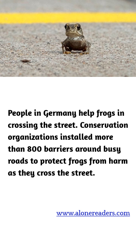 General Knowledge Learning Cards