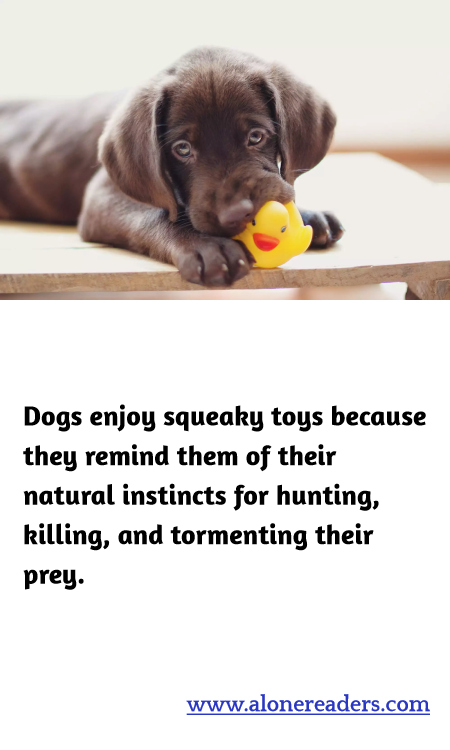 Dogs enjoy squeaky toys because they remind them of their natural instincts for hunting, killing, and tormenting their prey.