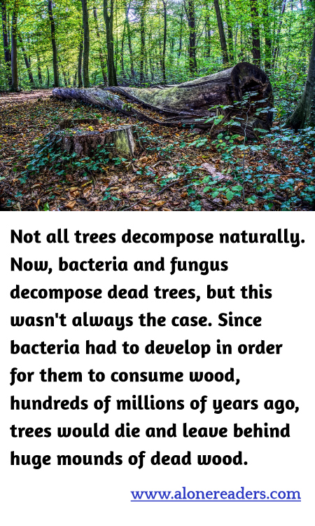 General Knowledge Learning Cards